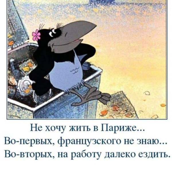 ворона клара мультфильм