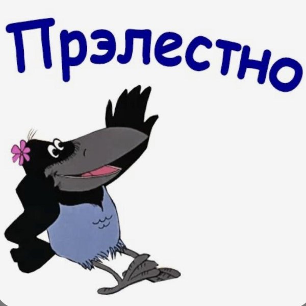 ворона прелестно