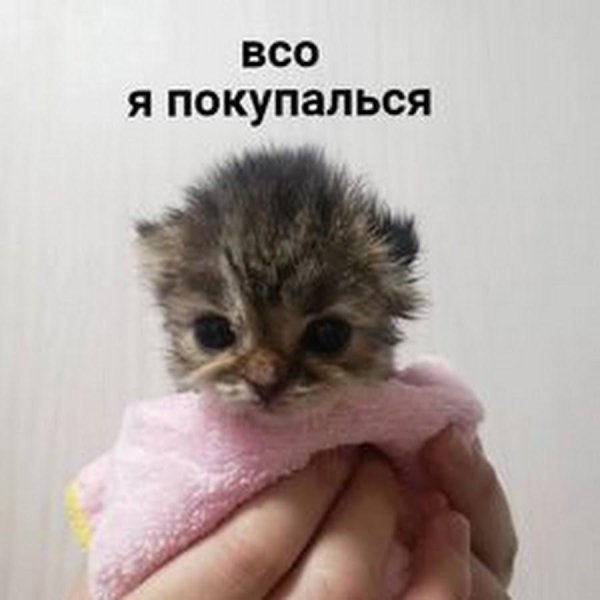 Прелестно