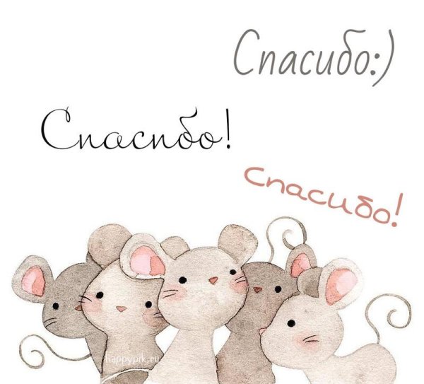 мышка благодарит