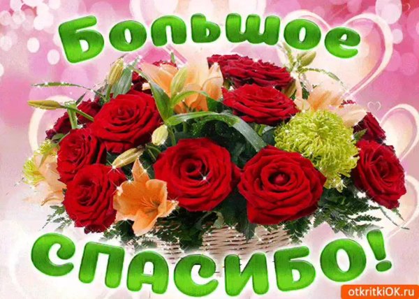 красивые цветы с благодарностью