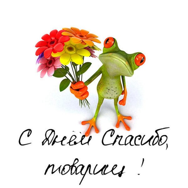 прикольные цветы