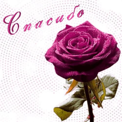 открытка с благодарностью