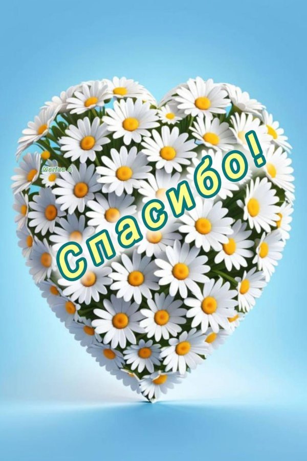 сердце из ромашек