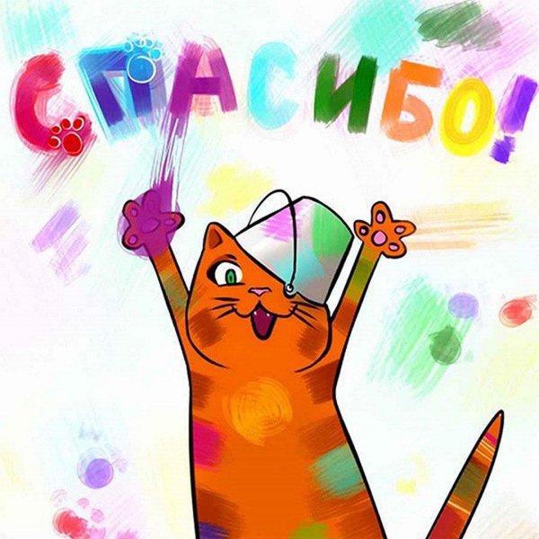 кот спасибо