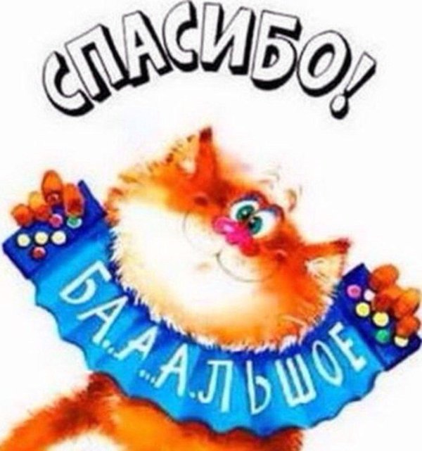 открытки спасибочки прикольные