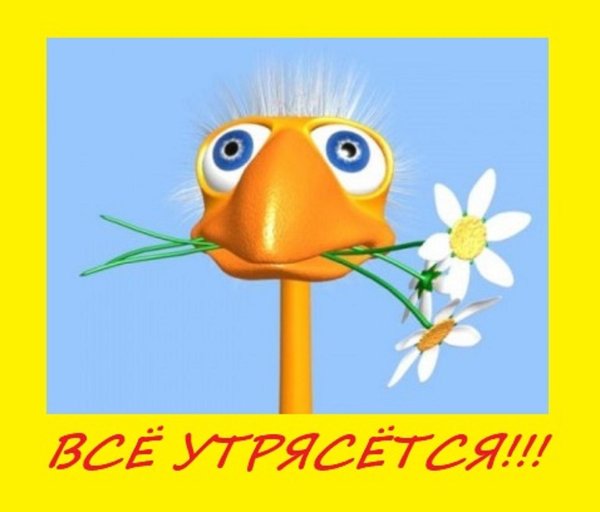 смешной цветочек