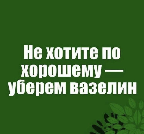 высказывания смешные