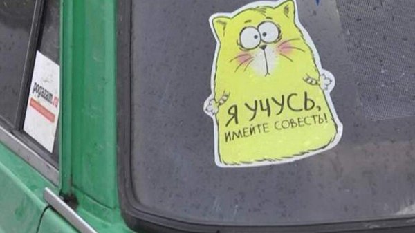 забавная наклейка на машину