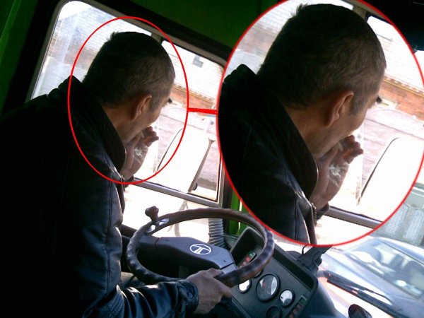 водители автобусов