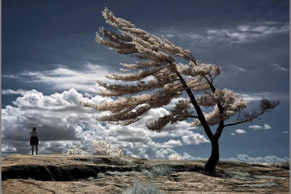 инфракрасная фотография