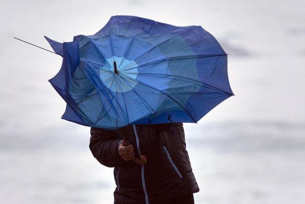 сломанный зонт