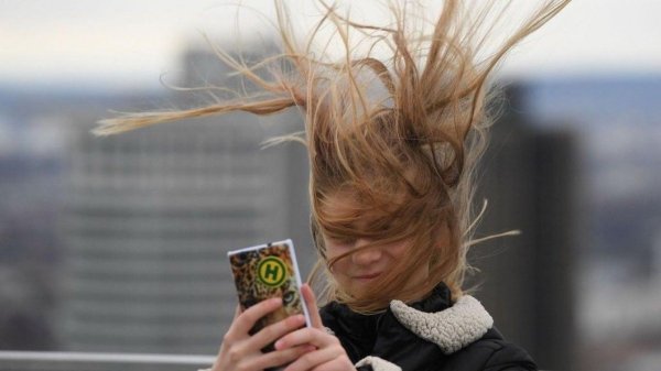 волосы на ветру