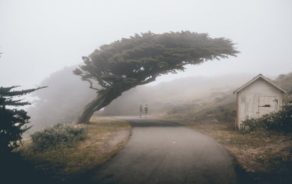 живописные пейзажи