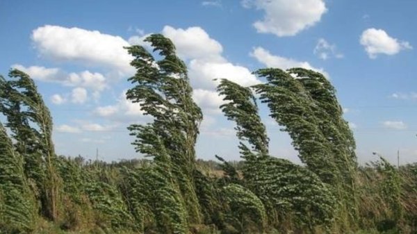 метеорологические явления