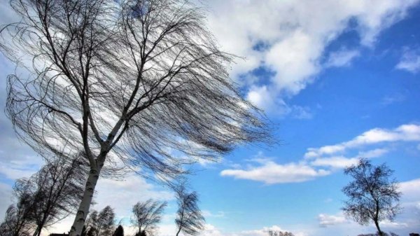 ветреная погода