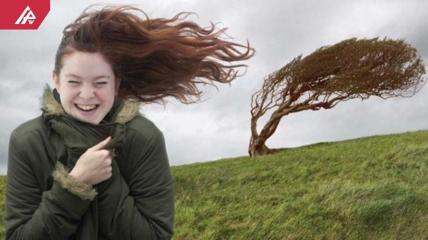 порывистый ветер