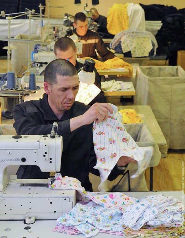 колонии строгого режима