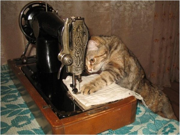 швейная машина