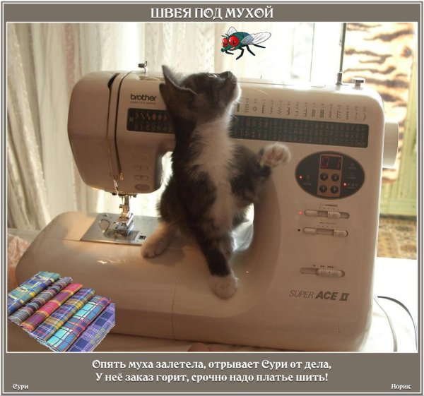 я ещё на машинке вышивать умею