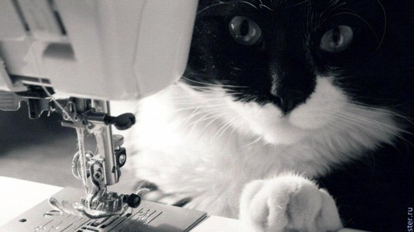 швейная машина