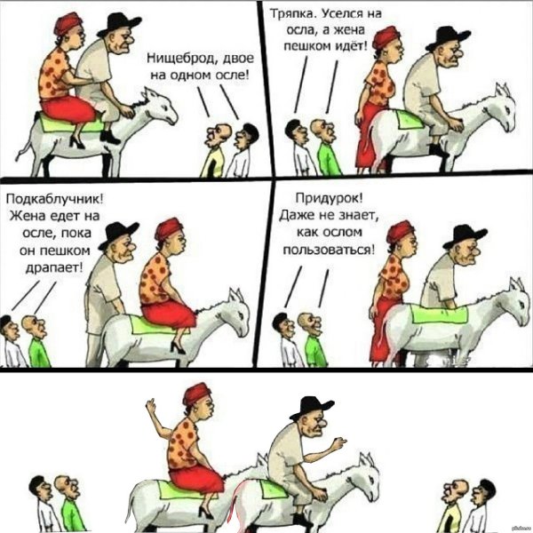 общественное мнение осёл