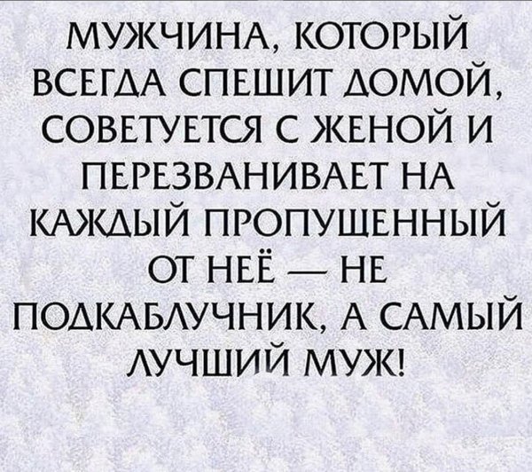 подкаблучник выражение