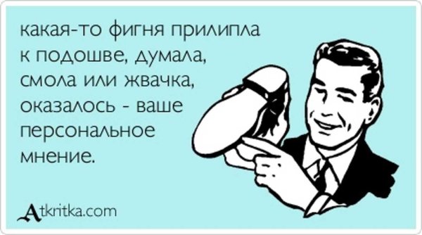 собственное мнение