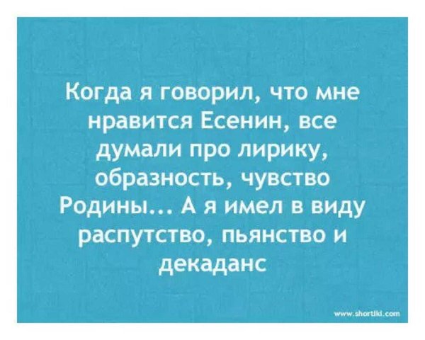 смешная цитата