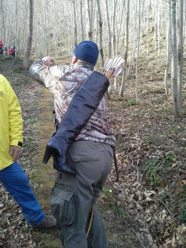 лук охотничий