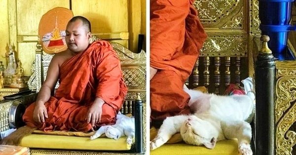 буддийские монахи