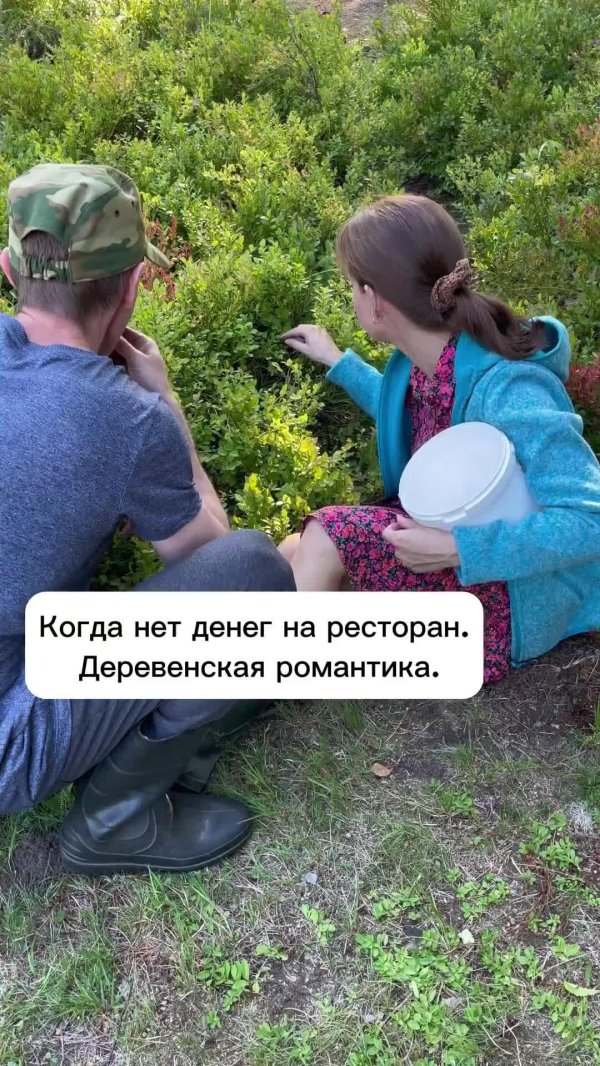 дача огород