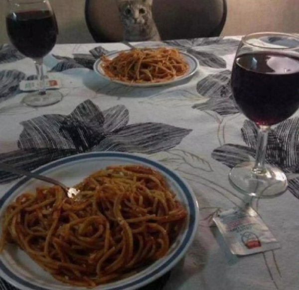 независимая женщина