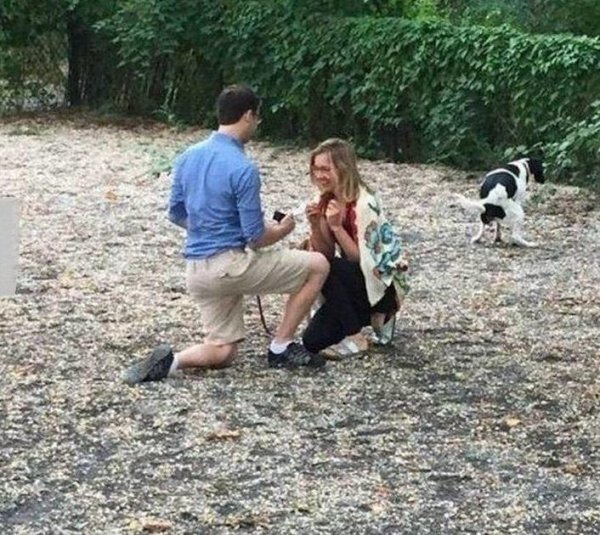 прикольное романтическое