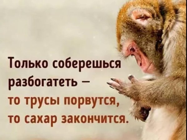 для поднятия настроения