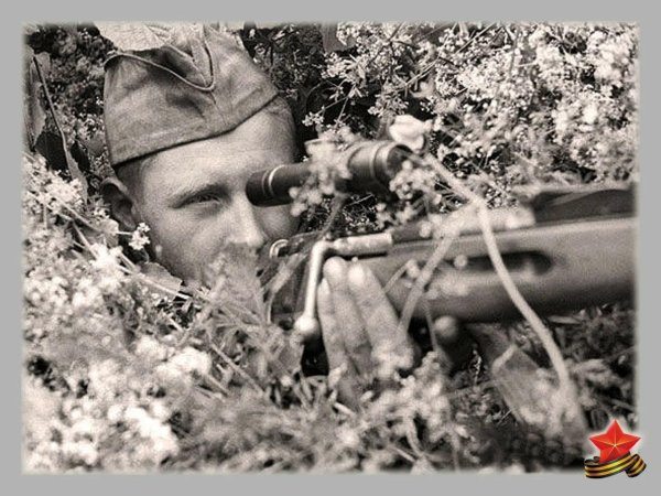 снайперы вов 19411945