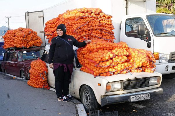 машина с мандаринами