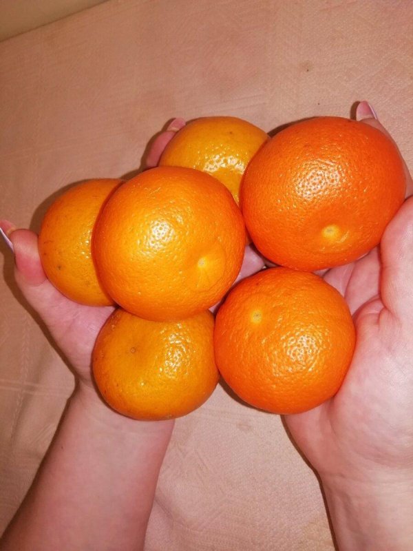 мандарины апельсины