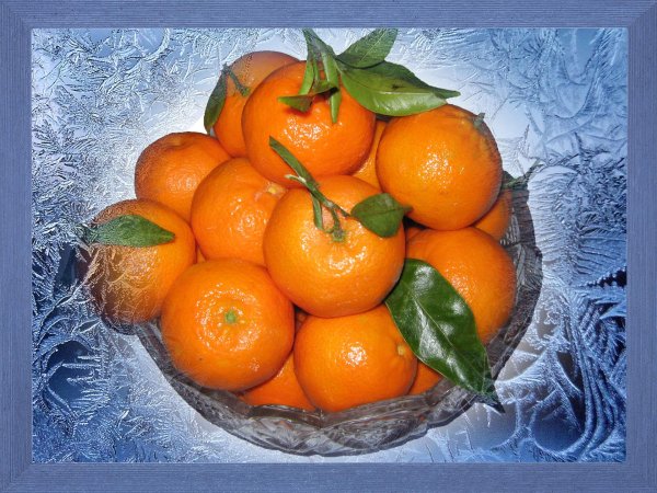 сорт мандаринов клементина