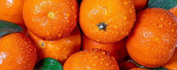 фрукт мандарин