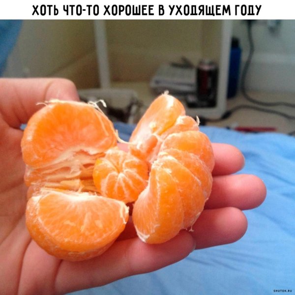 мандариночка мандариночка