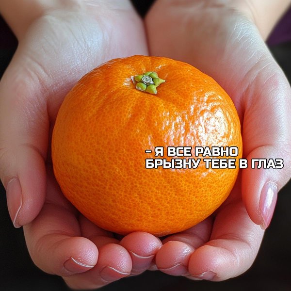 мем про мандарины
