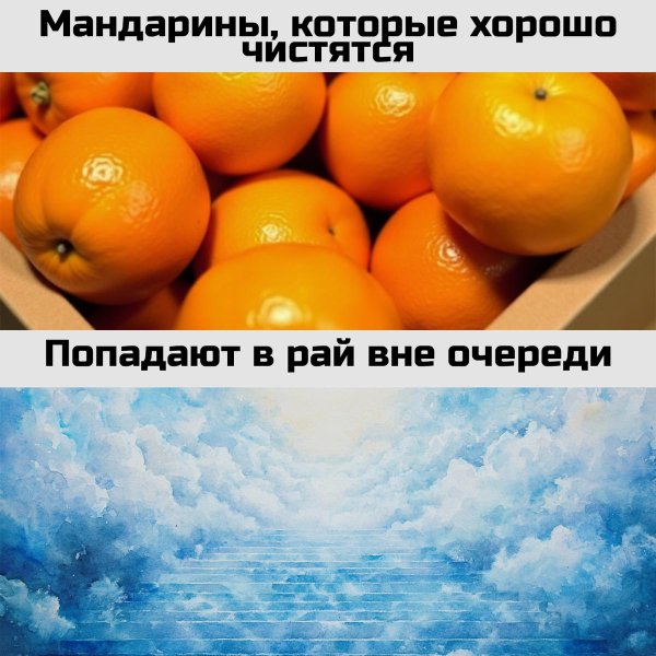 сорта апельсинов