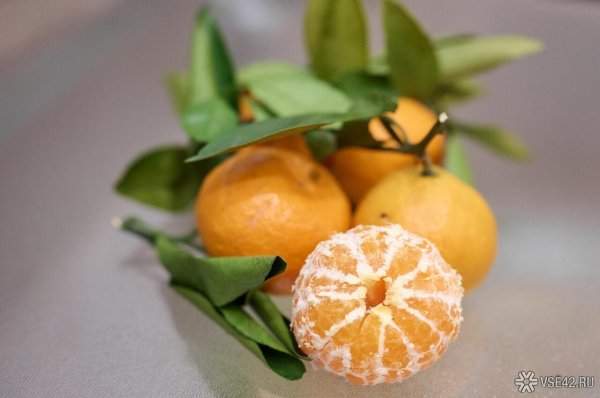 мандарин танжерин зеленый