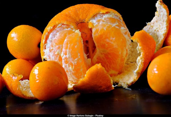 оранжевый мандарин