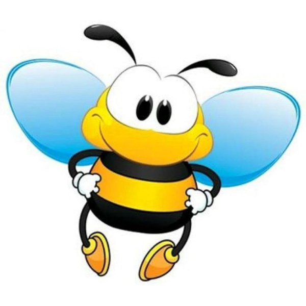 пчелка на белом фоне