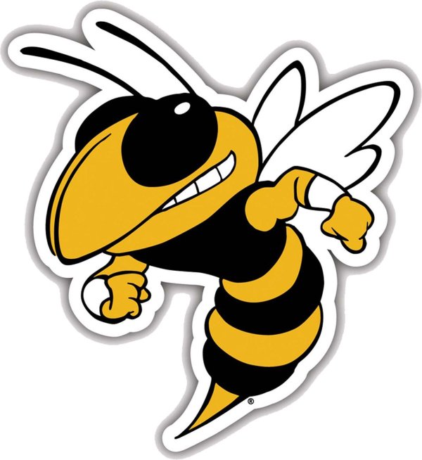 шершень шмель