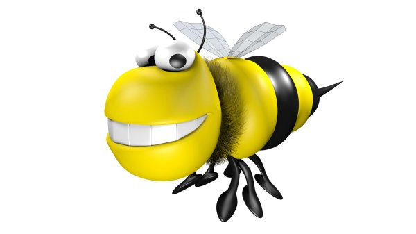 пчелка на белом фоне