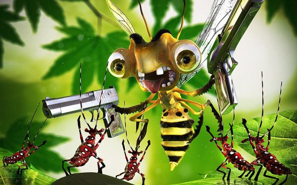 забавные насекомые