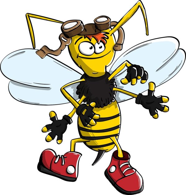 шершень шмель